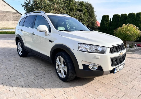 Chevrolet Captiva cena 33000 przebieg: 266000, rok produkcji 2012 z Płock małe 172